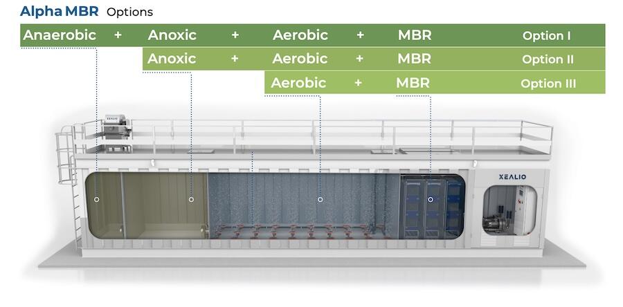 Alpha MBR options